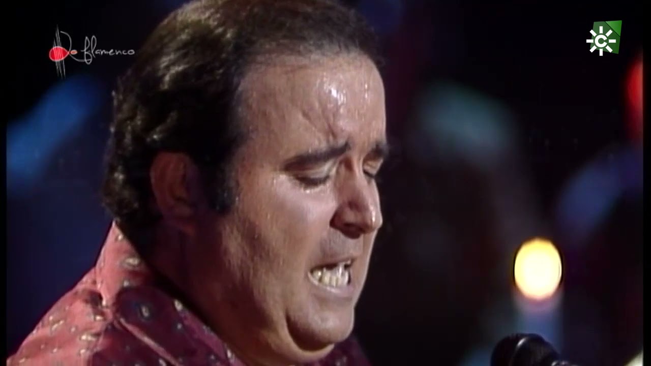 Fandangos. José Galán. 1990