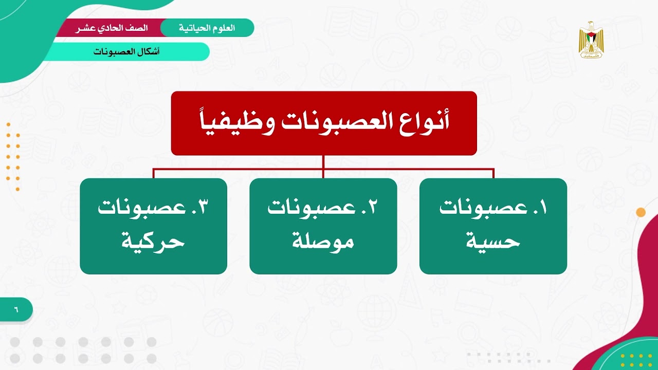 العلوم الحياتية 11 - الفصل 1 | أشكال العصبونات