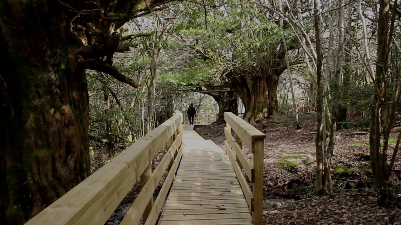 RUTA TEJEDELO  SANABRIA