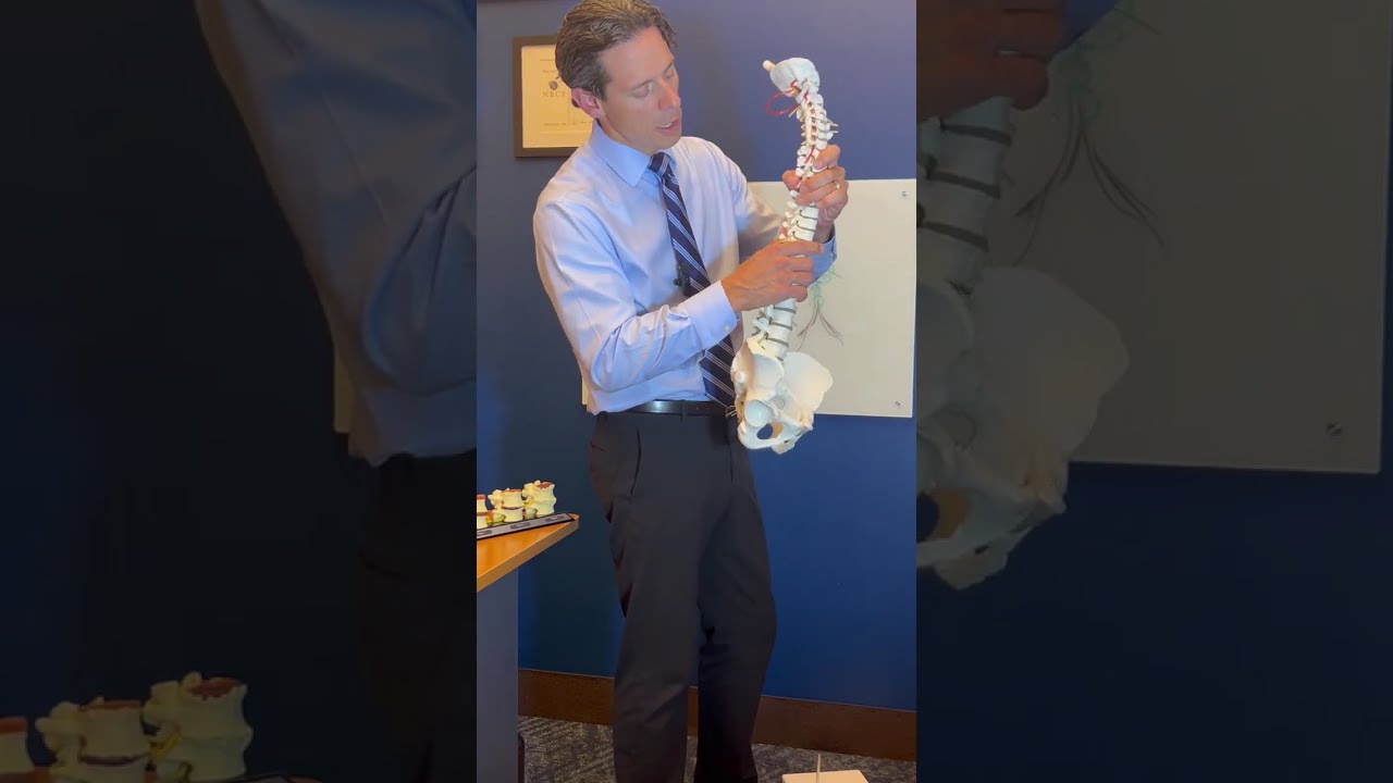 How Does Chiropractic Work