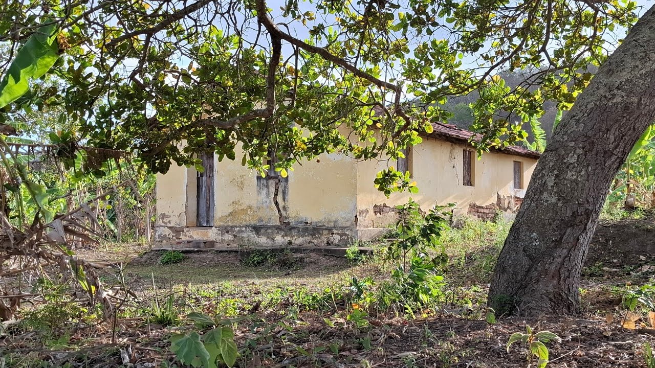 A BELEZA RURAL PARAIBANA E AS CASAS ABANDONADAS PELOS MORADORES