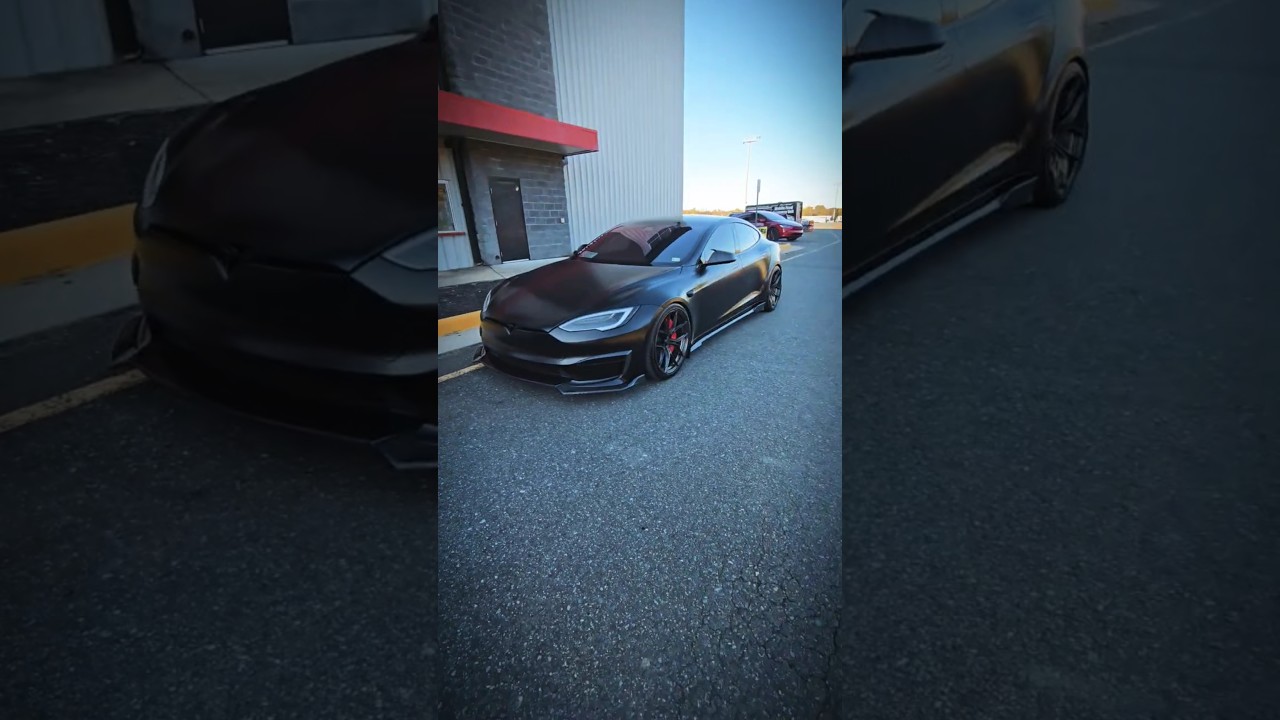 This Model S Plaid looks PERFECT!
