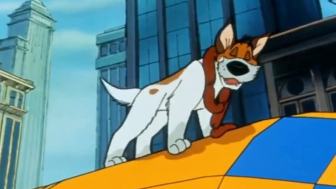 R U Crazy. Dodger X Jenna. Animash Edits. Read desc.