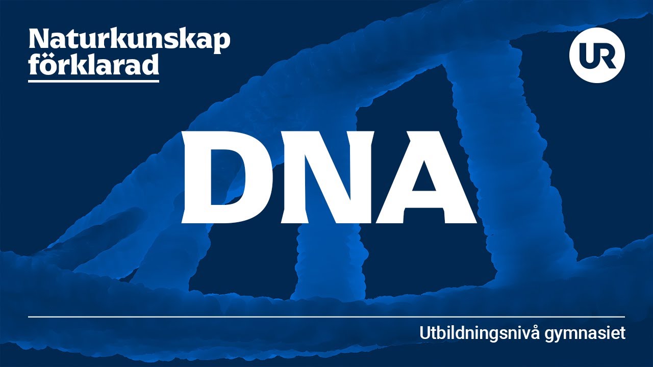 Dna förklarad | BIOLOGI | Gymnasienivå