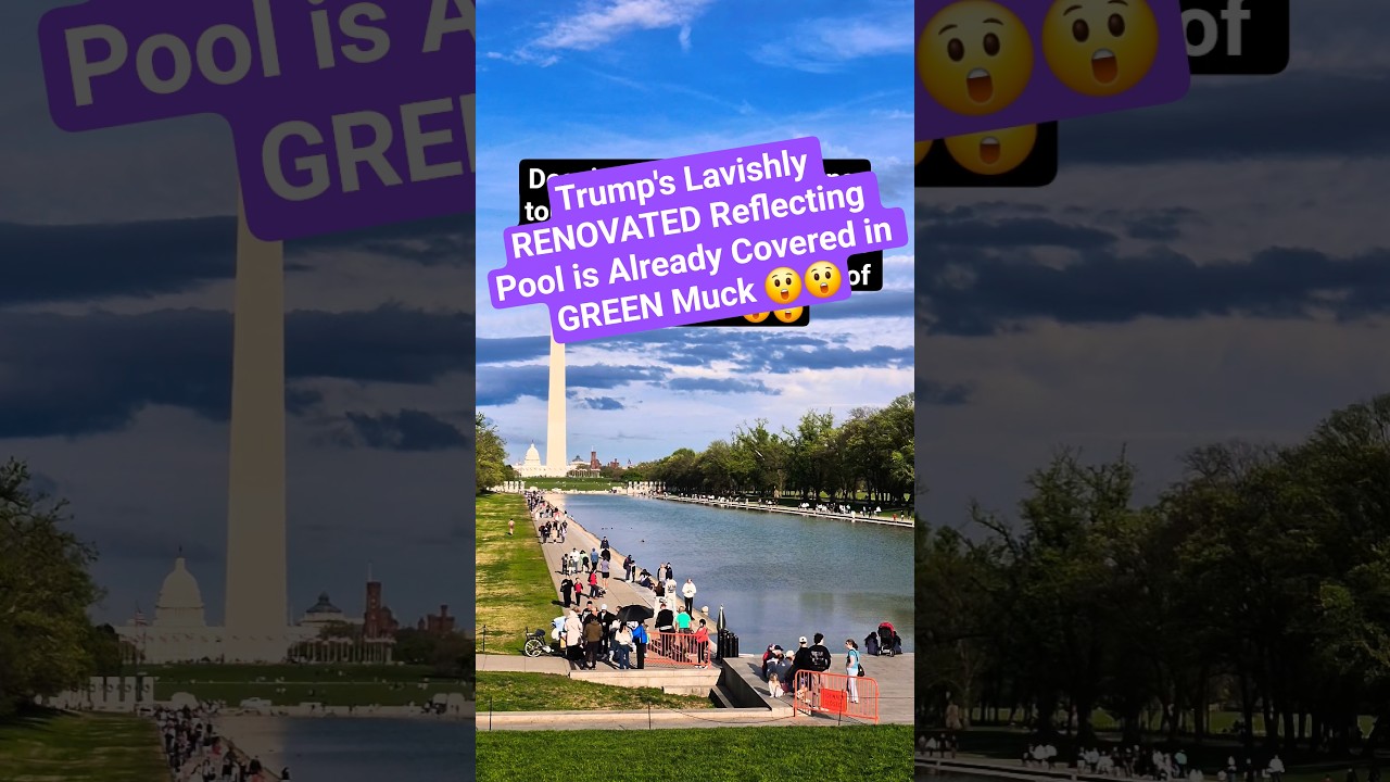 Trump's Lavishly RENOVATED Reflecting Pool is Already Covered in GREEN Muck 😲😲 #washington #usa
