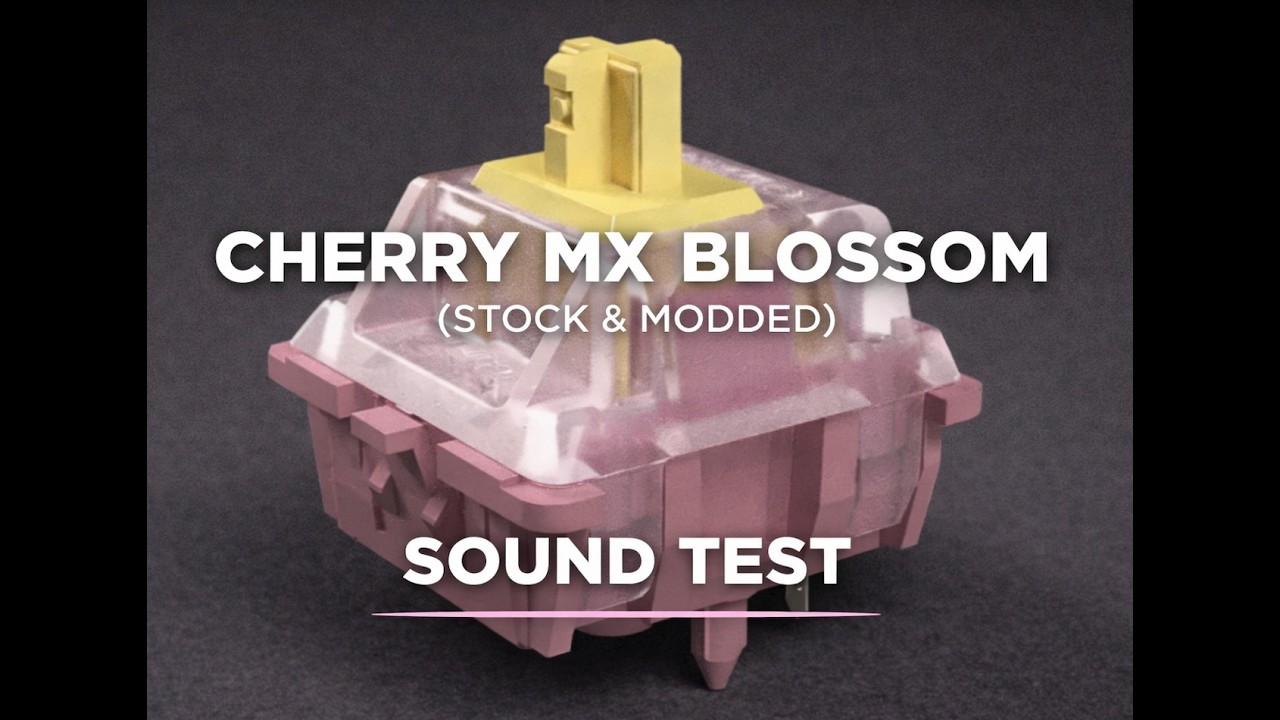 Cherry MX Blossom (Stock & Modded) Sound Test | F1-8X V2