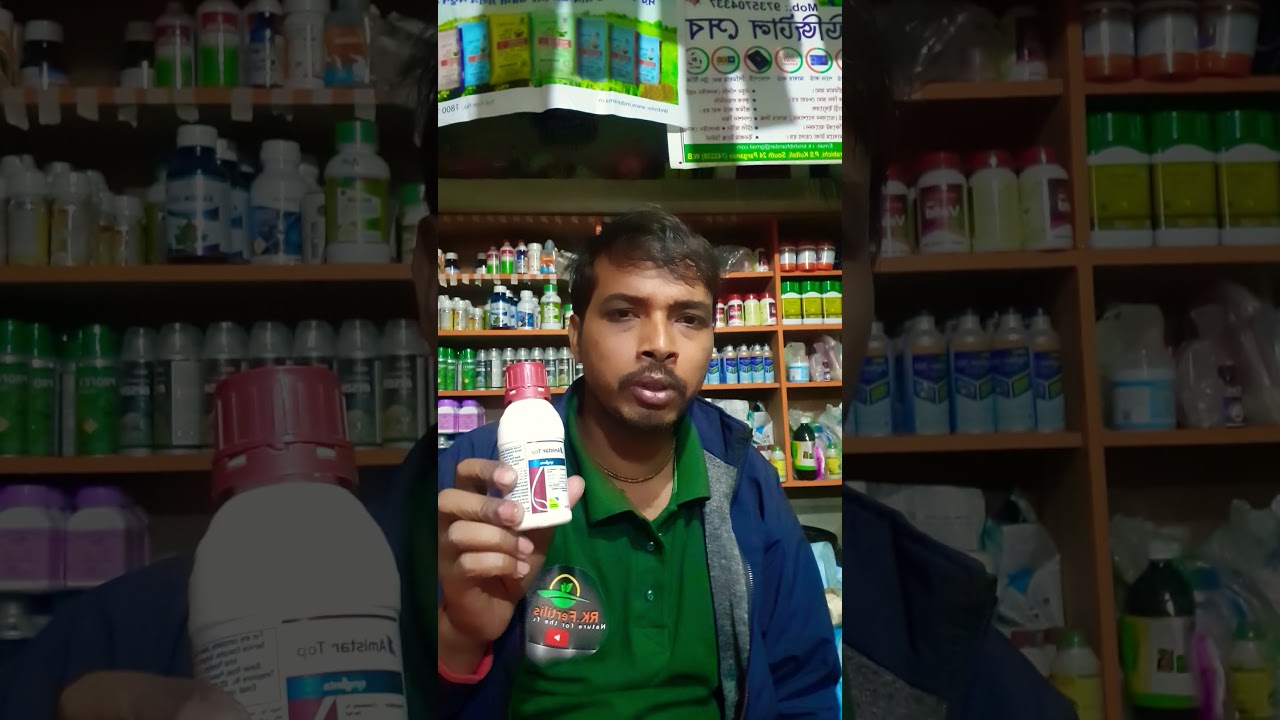 Amistar top syngenta dose #rkfertiliser #amistartop #syngenta