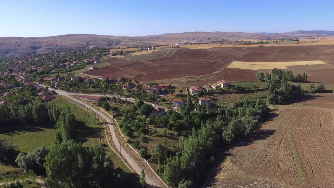 Curali Koyu, Derenin Agzi. 12/07/2016