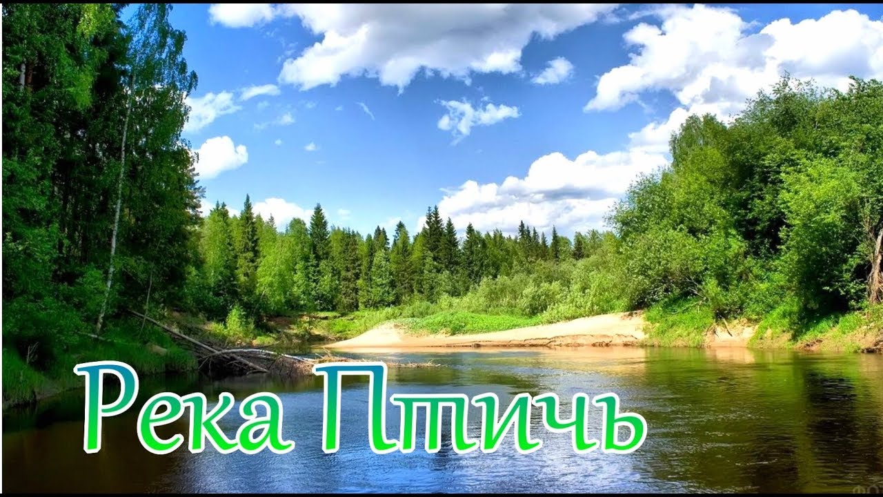 Птичь. Водный поход по живописной реке