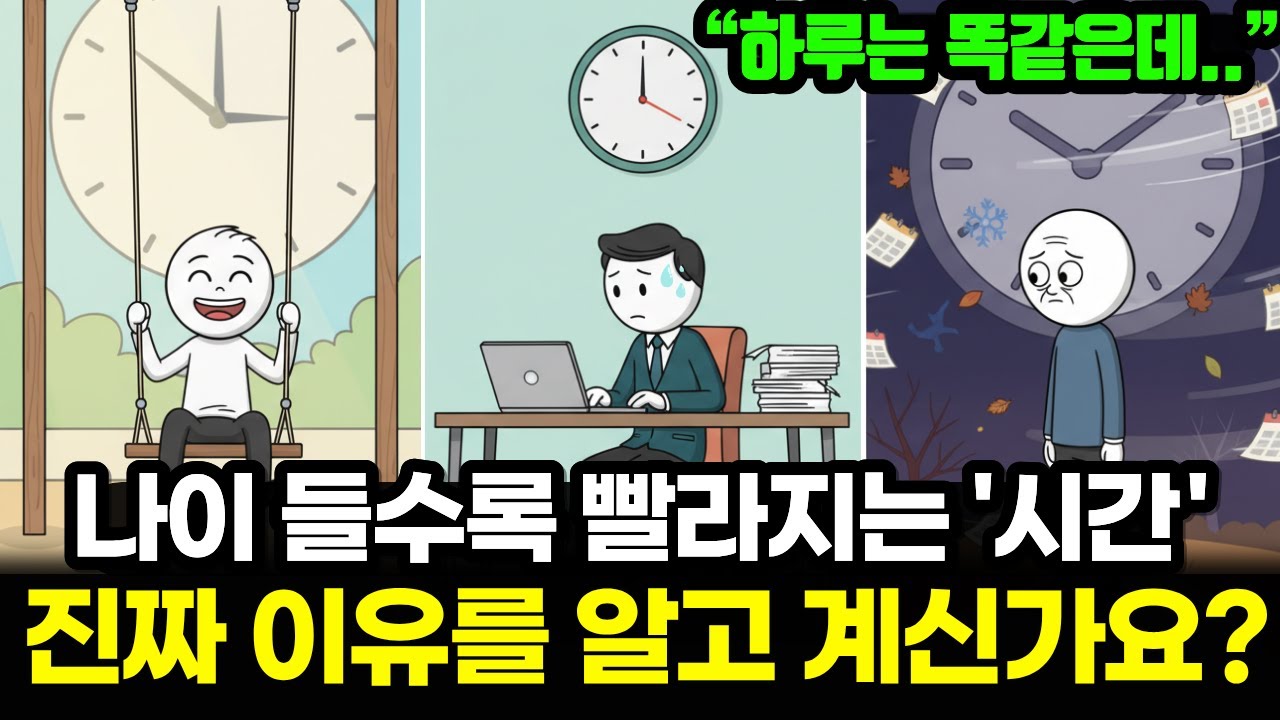 나이 들수록 한 해가 순식간에 사라지는 이유, 우리 뇌에서 실제로 벌어지는 변화