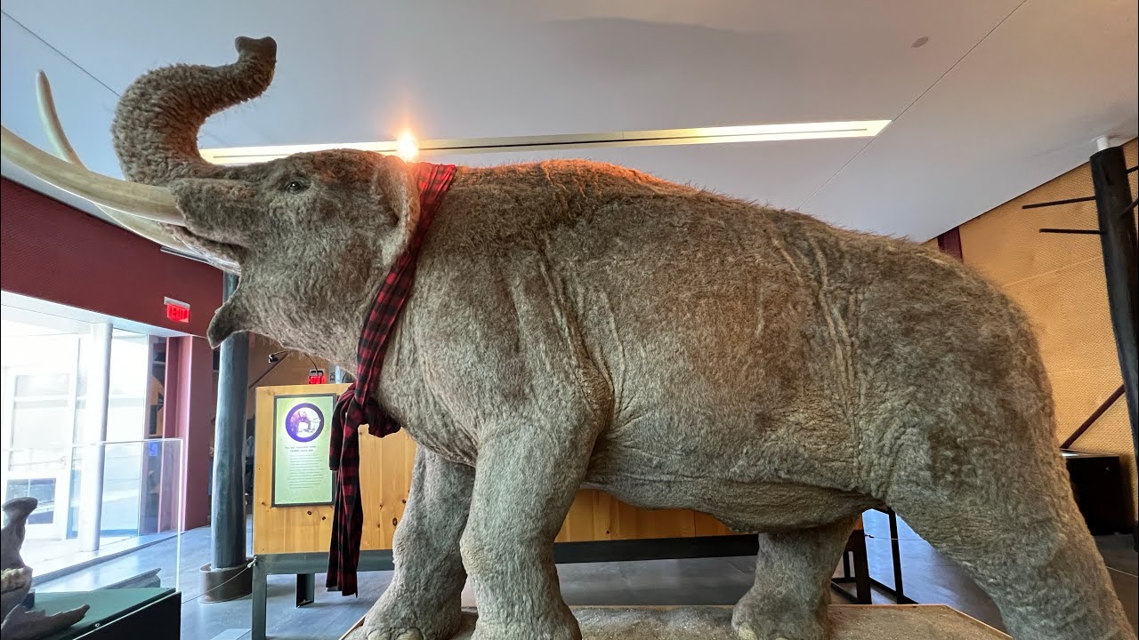 Cranbrook Institute of Science- Bloomfield Hills, MI