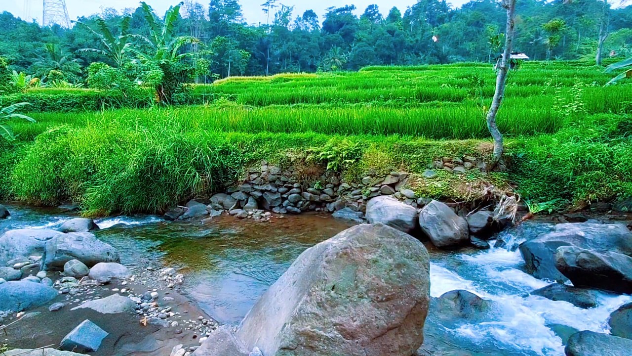 Soft River Sounds for Evening Calm