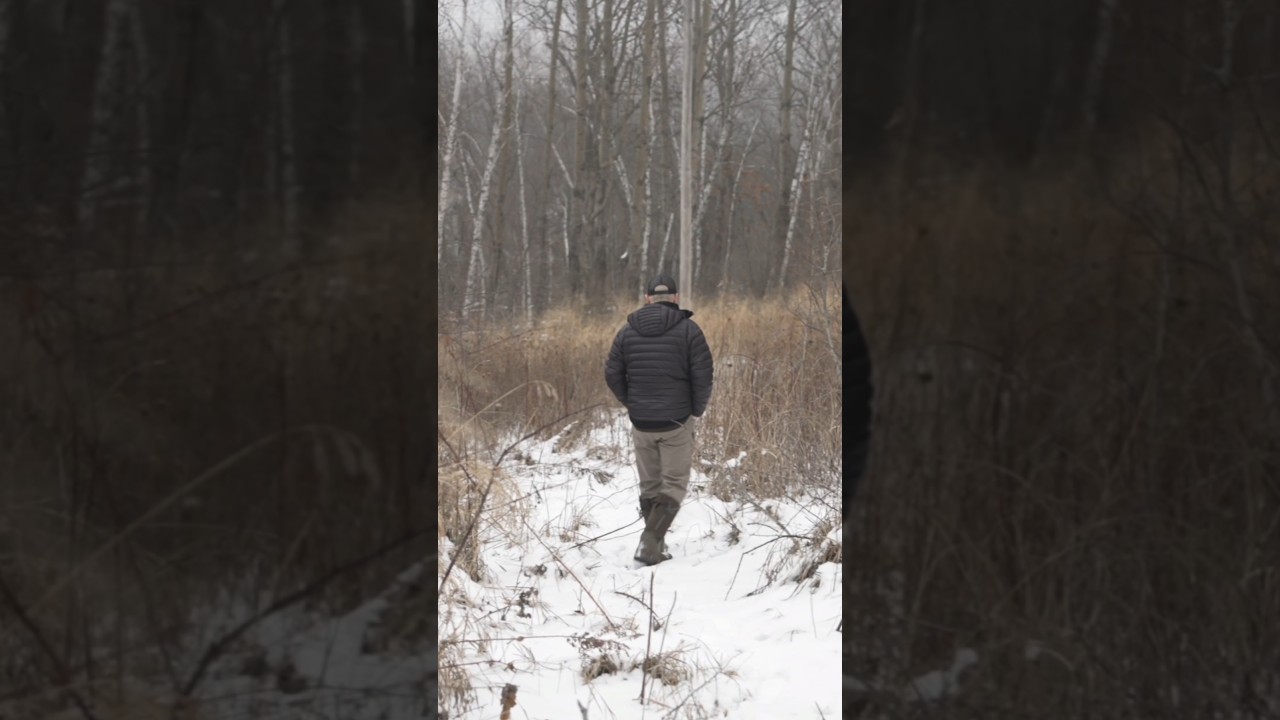 Когда следует воздерживаться от охоты на оленей на вашей территории 