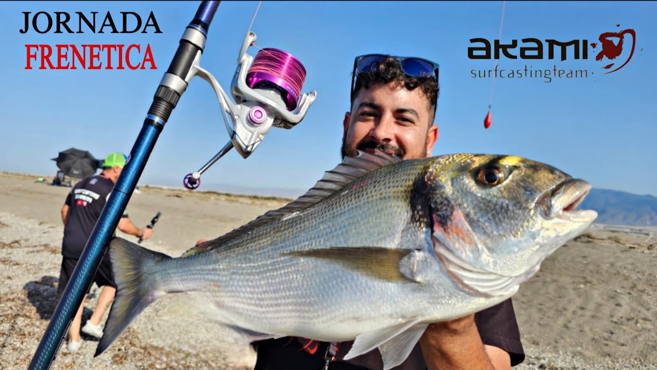 JORNADON DE SUSTOS, GRANDES PICADAS Y GRAN DORADA... PESCA SURFCASTING GRANADA