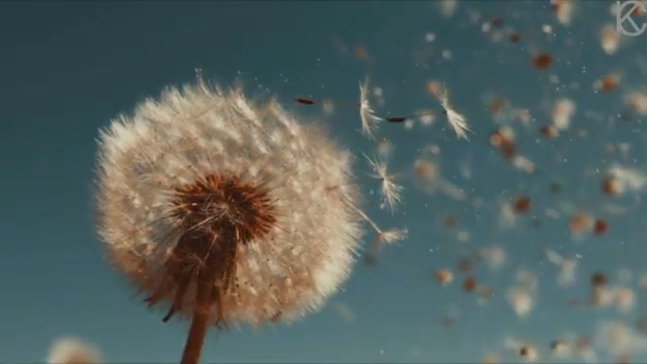Grassade In Die Wind