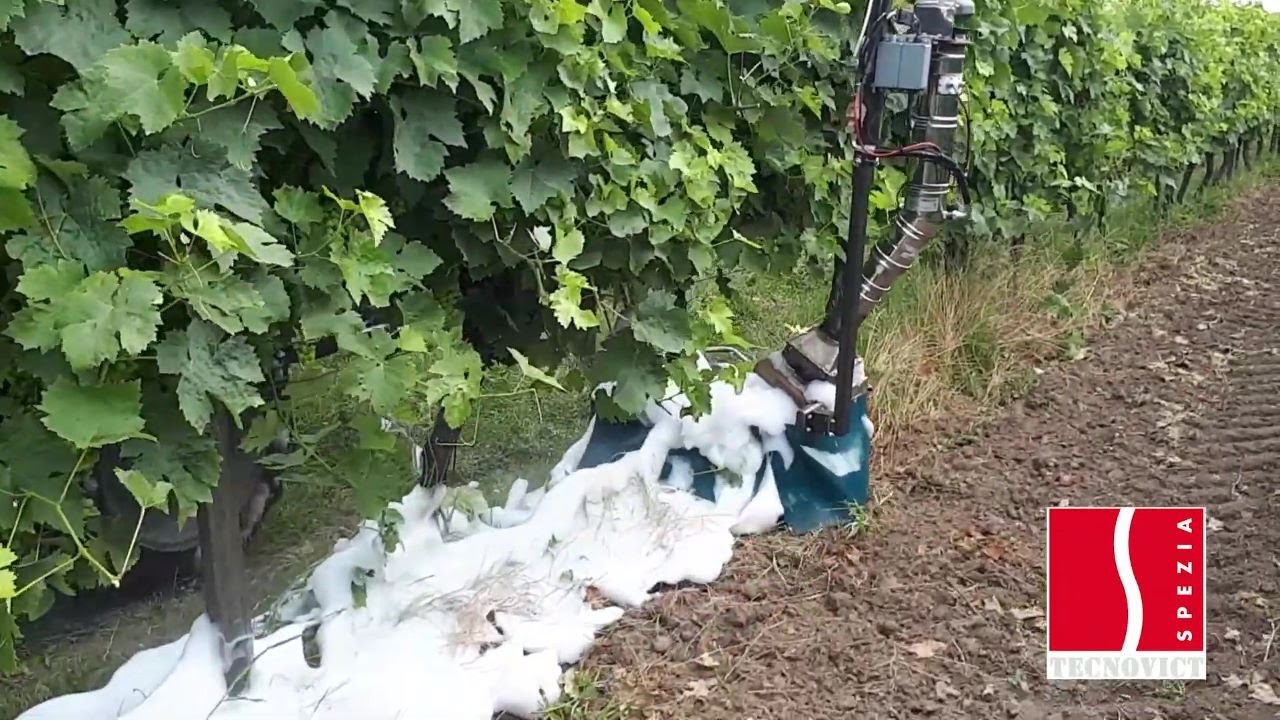 CONTROLLO DELLE MALERBE CON LO SCHIUMONE