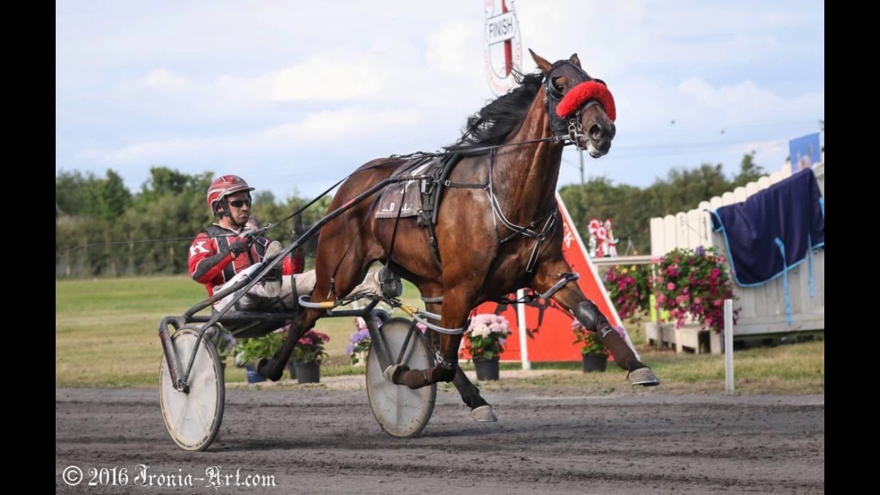 BHRC Champion of Champions Pace