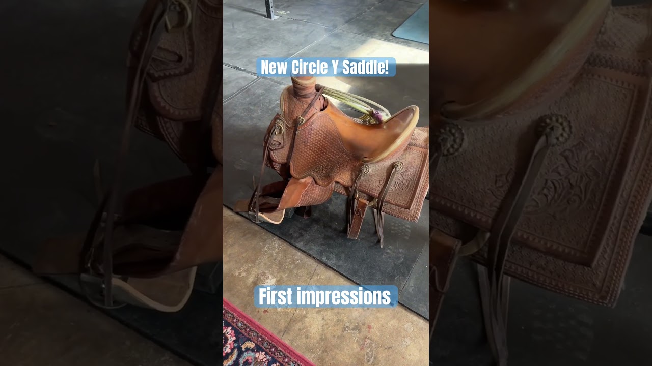 First Impressions on a New Circle Y Saddle #Horses #cowboylife