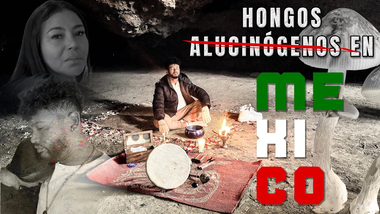 Entré a una cueva para vivir la experiencia de comer hongos y esto pasó 😱🍄‍🟫 