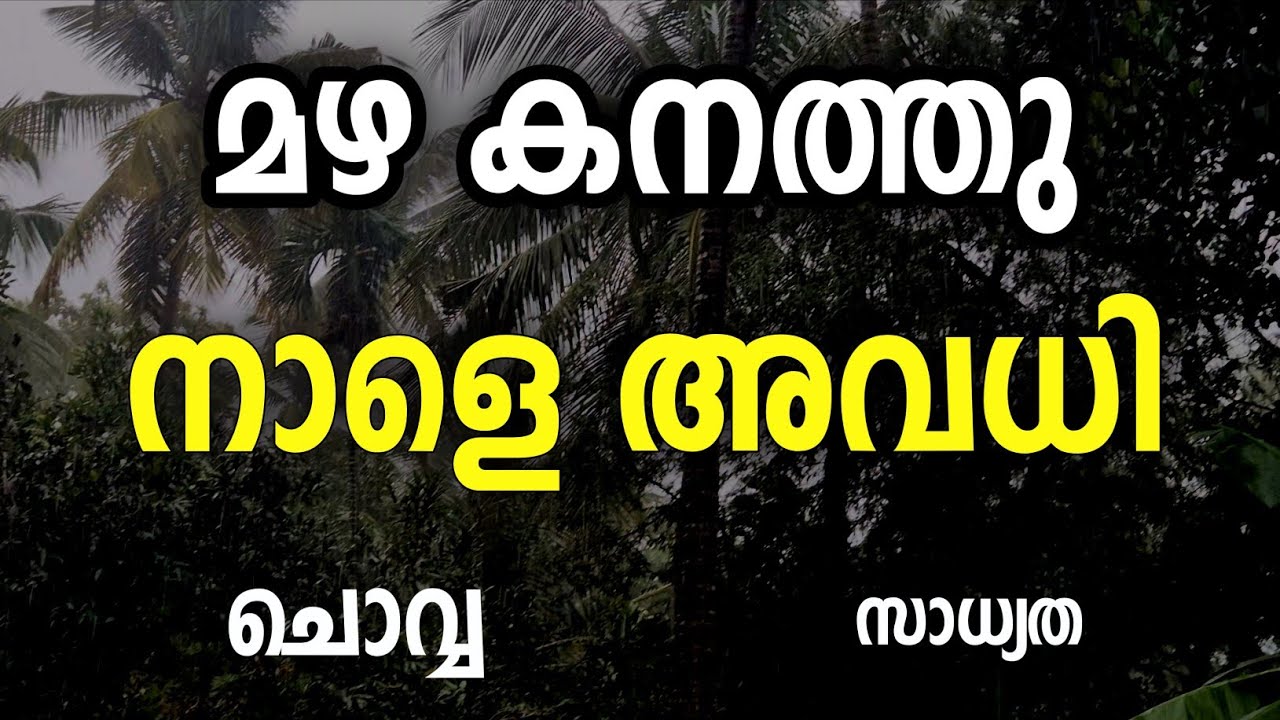 Heavy Rain | Tomorrow school holiday in Kerala | Kerala rain alert | Kerala news | Rain | Rain | ...