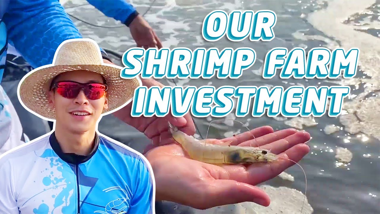 VISITING OUR SHRIMP FARM IN ZAMBALES (INVESTING IN FOOD PRODUCTION) | Enchong Dee