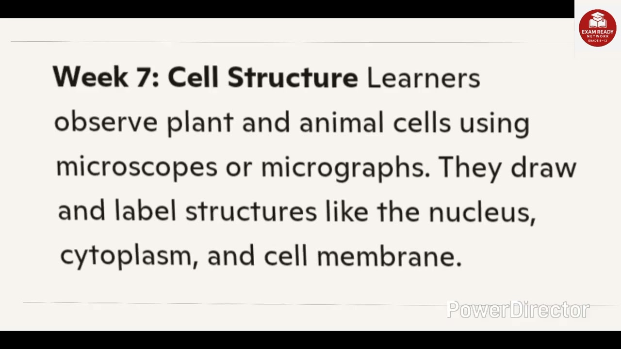 Grade 10 Life Science Term 1 | Scope For Exam