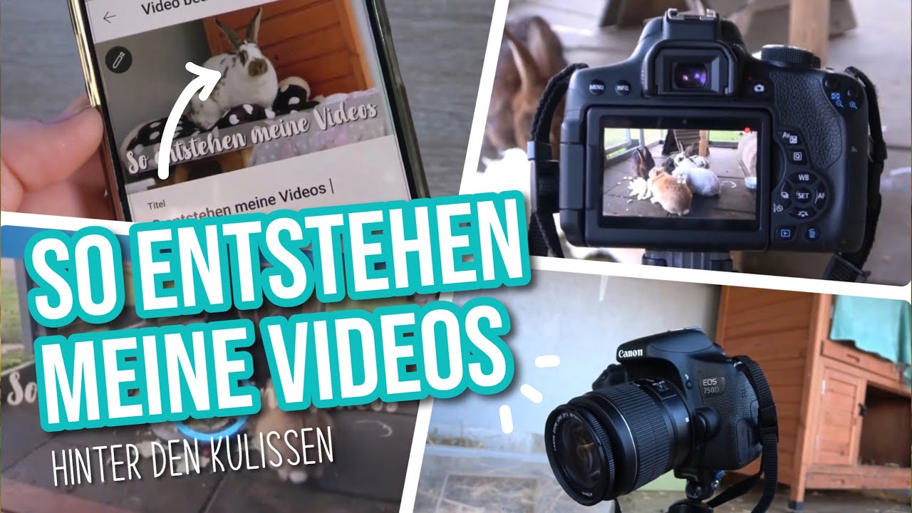 So entstehen meine Videos - Ein Blick hinter die Kulissen | Kaninchenstar