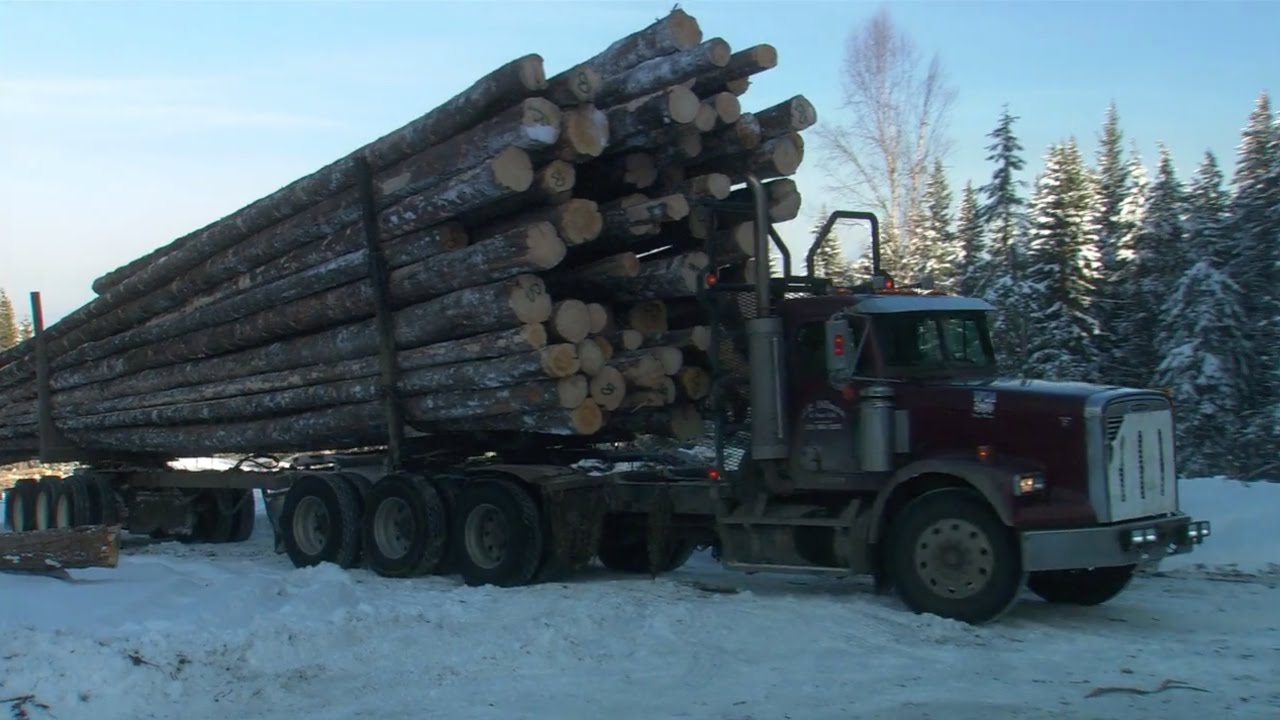 How Trump&rsquo;s &ldquo;America First&rdquo; policy will impact BC&rsquo;s softwood lumber industry