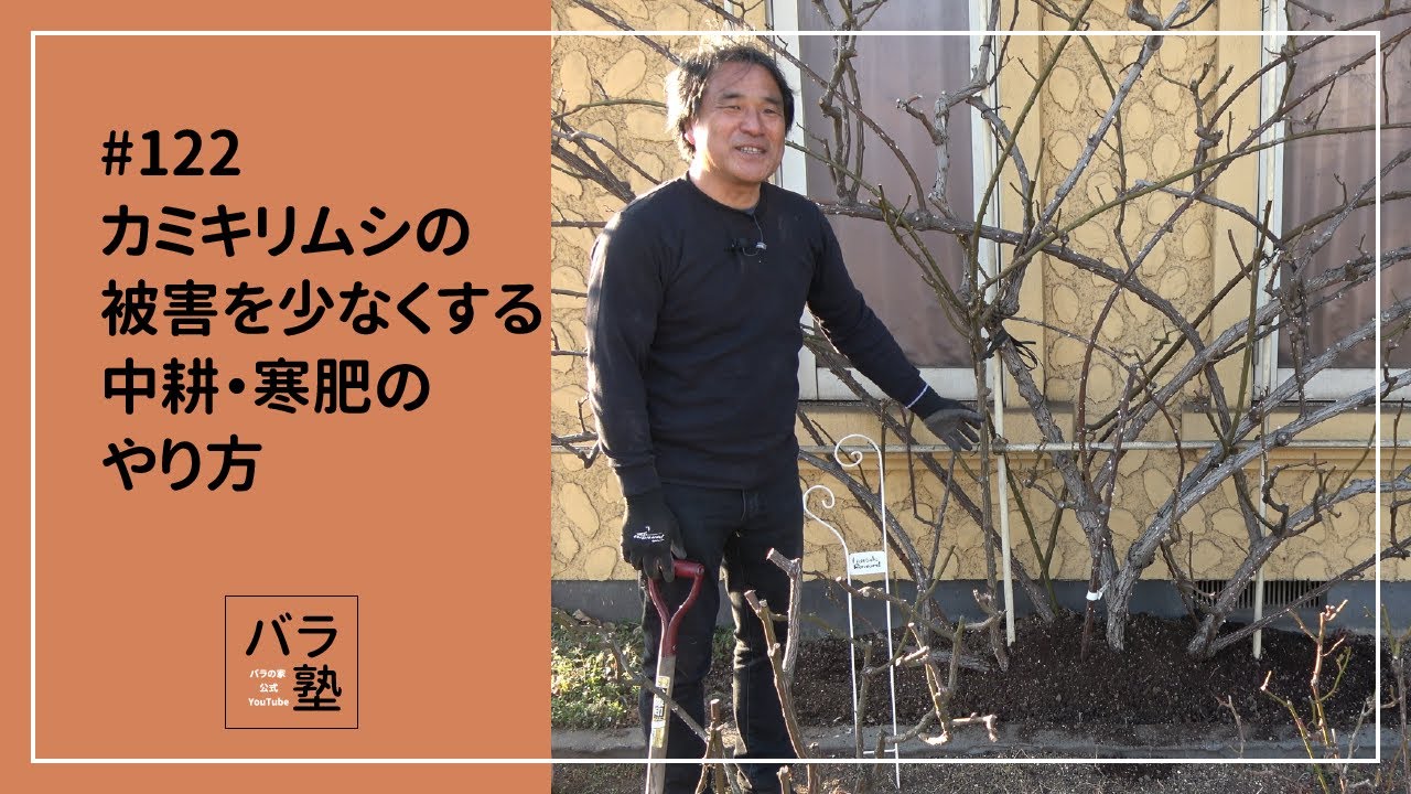 #122 カミキリムシの被害を少なくする中耕・寒肥のやり方