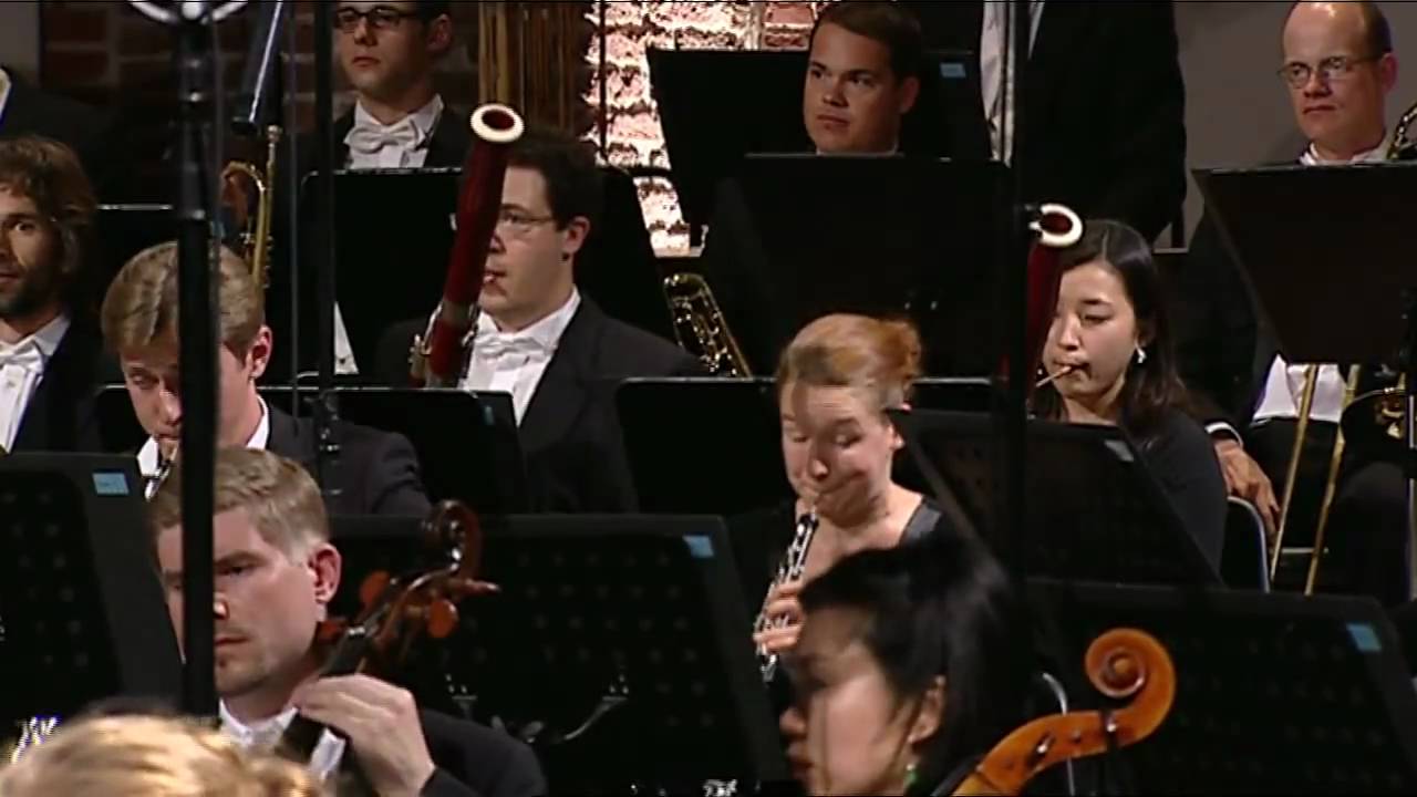 Johannes Brahms: Symphony No. 2 (1/5) / Mvt 1, Part 1
