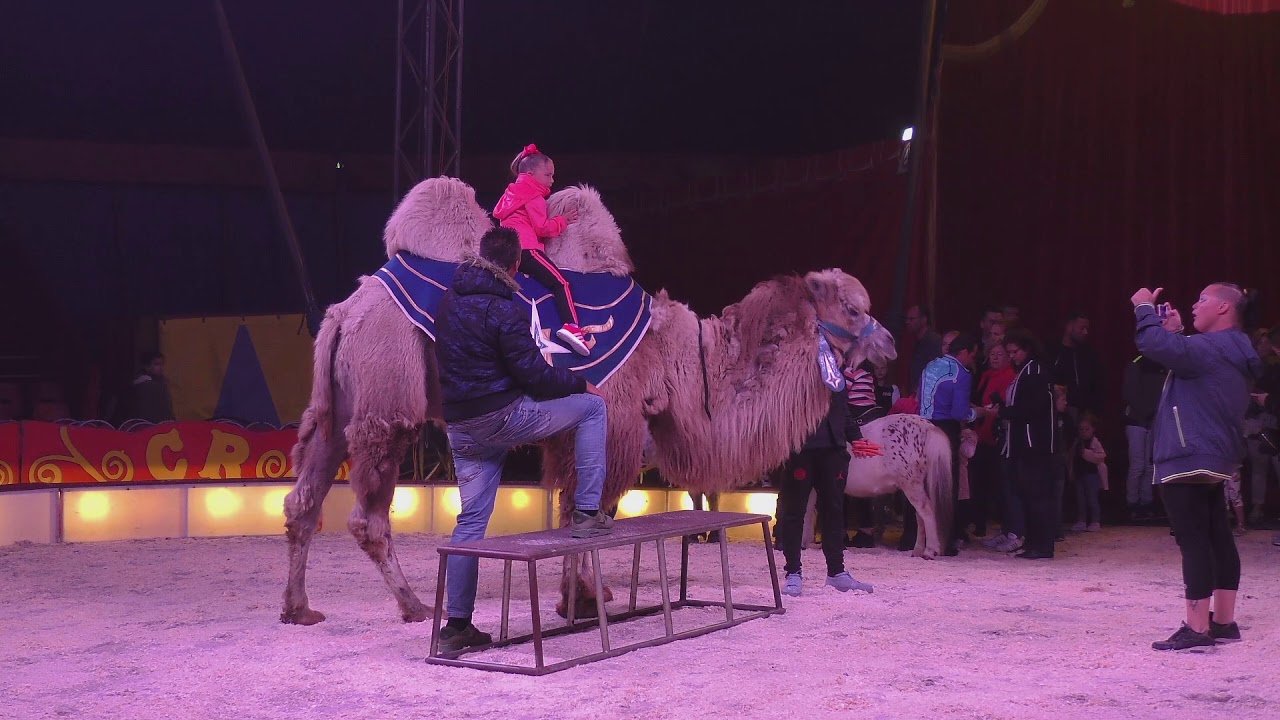 Circus renz Berlin samenvatting
