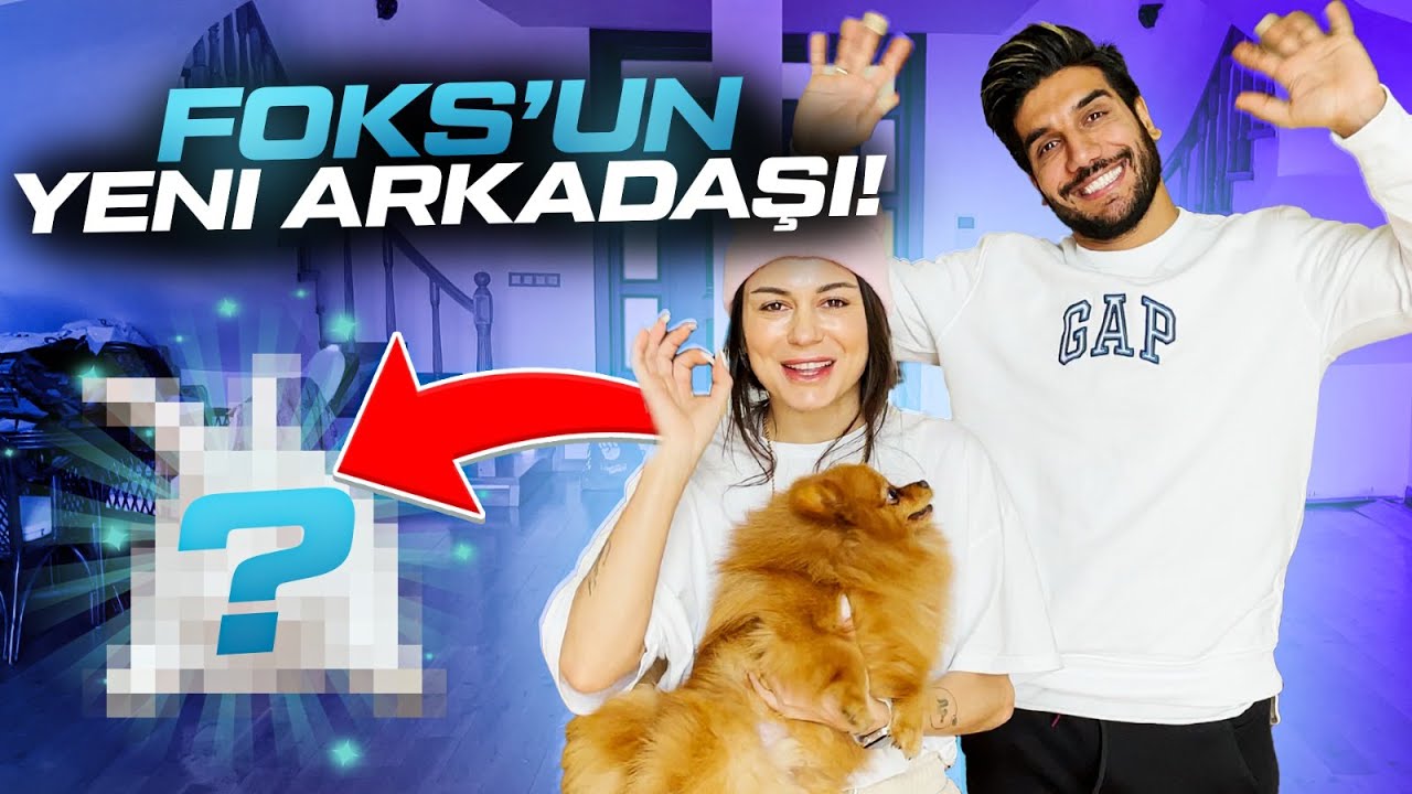 FOKSUN SÜRPRİZ YENİ ARKADAŞI!