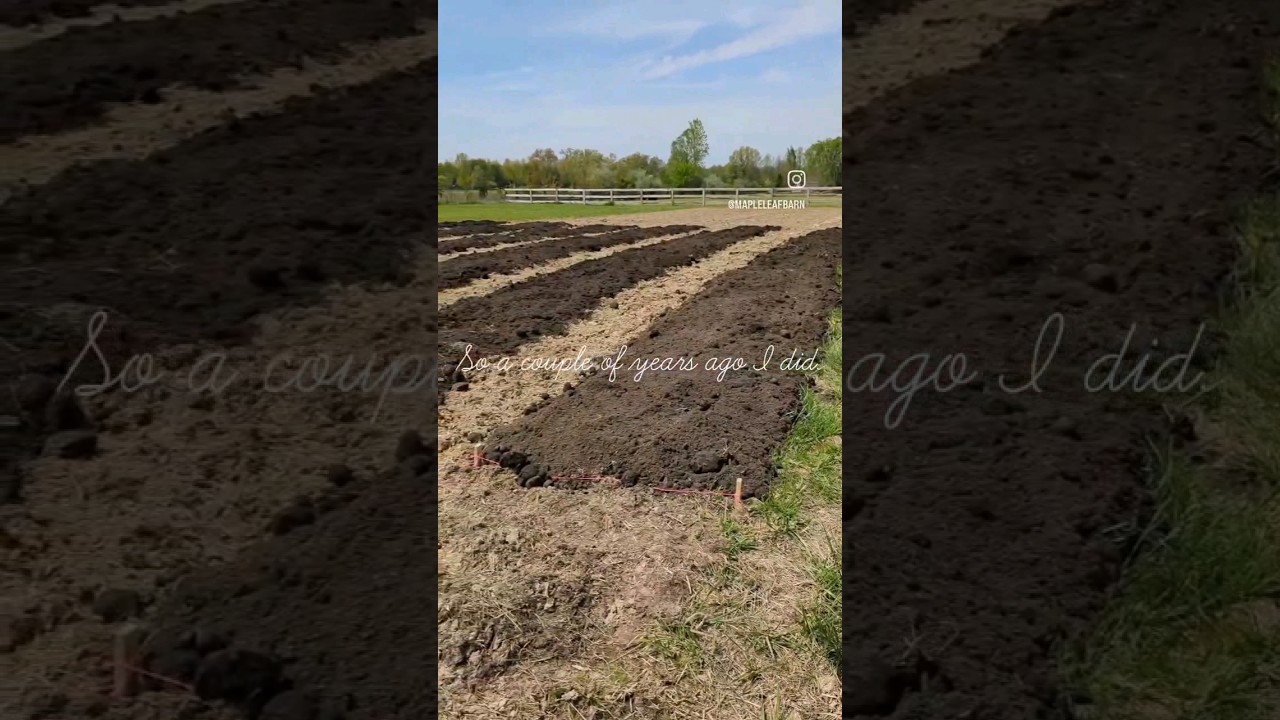 Want to Start flower farming? Advice for a new flower farmer! #flowerfarm