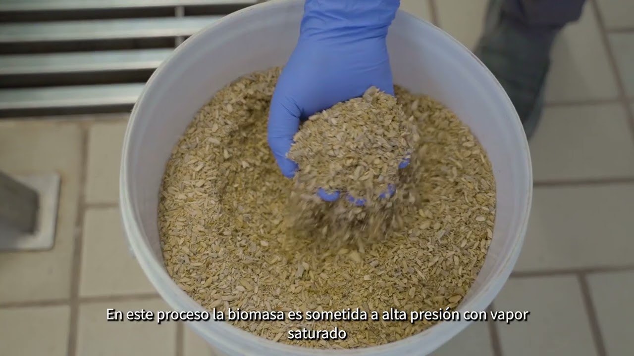 De residuos a biocombustibles: un aporte al circuito productivo de la madera