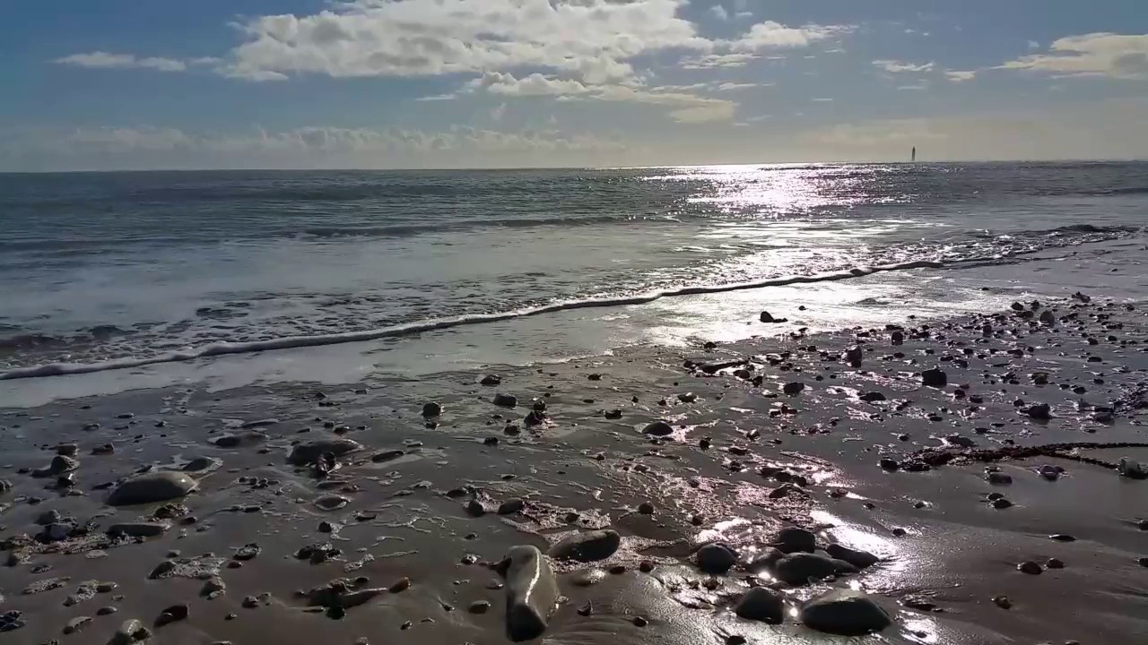 Dans le soleil de Rivedoux - Janvier 2017