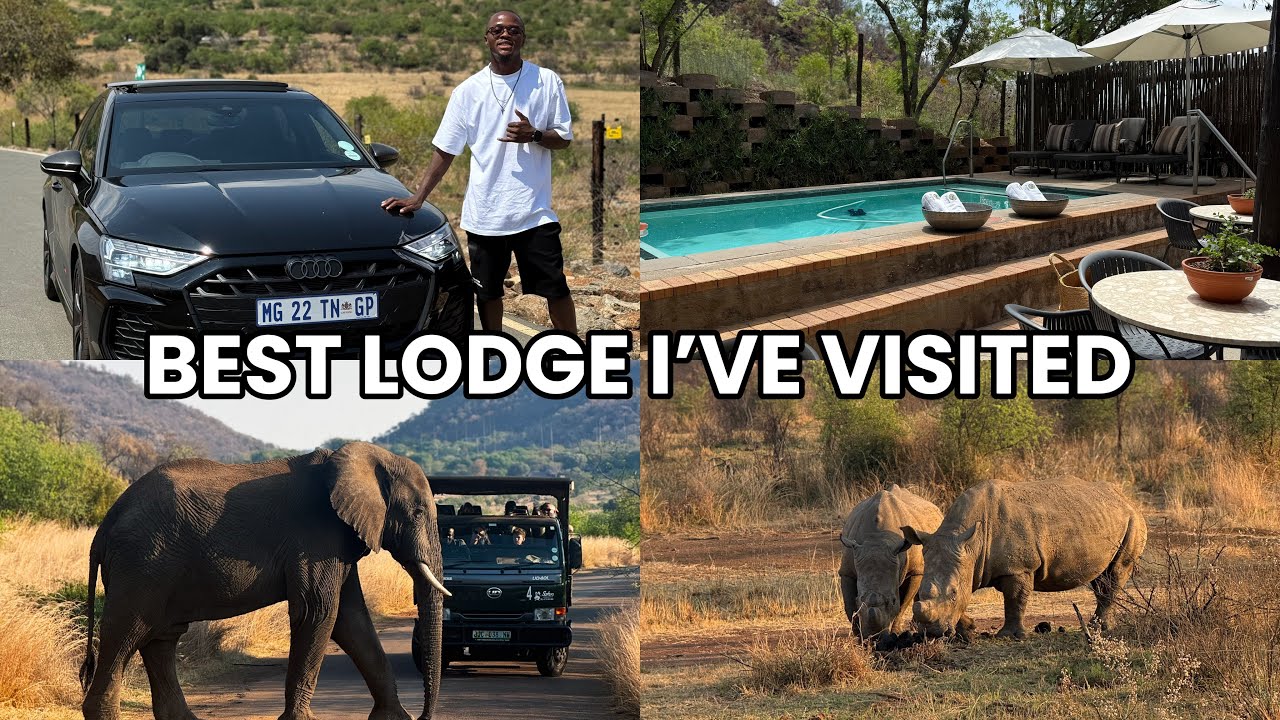 Внутри Bakubung Bush Lodge | Сафари | 5-звездочные удобства | Расчёт стоимости