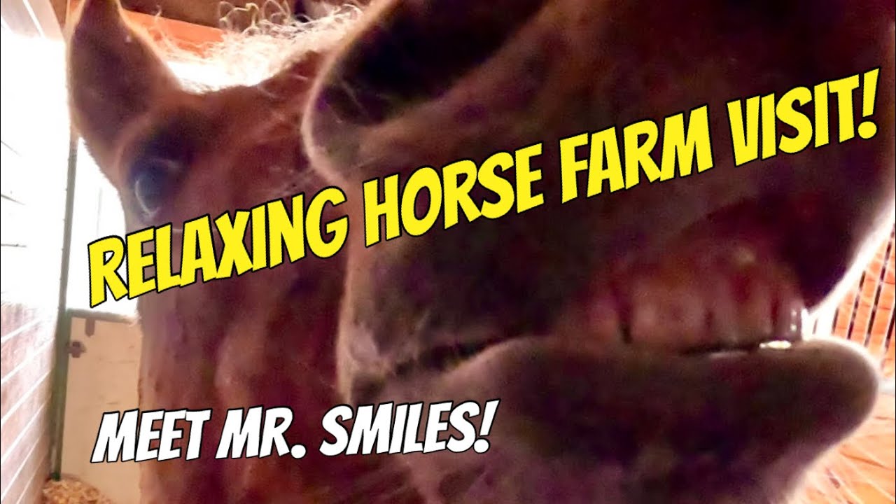 Экскурсия по живописной конной ферме Пенсильвании! | Осенние виды! Знакомьтесь, мистер Смайлс!