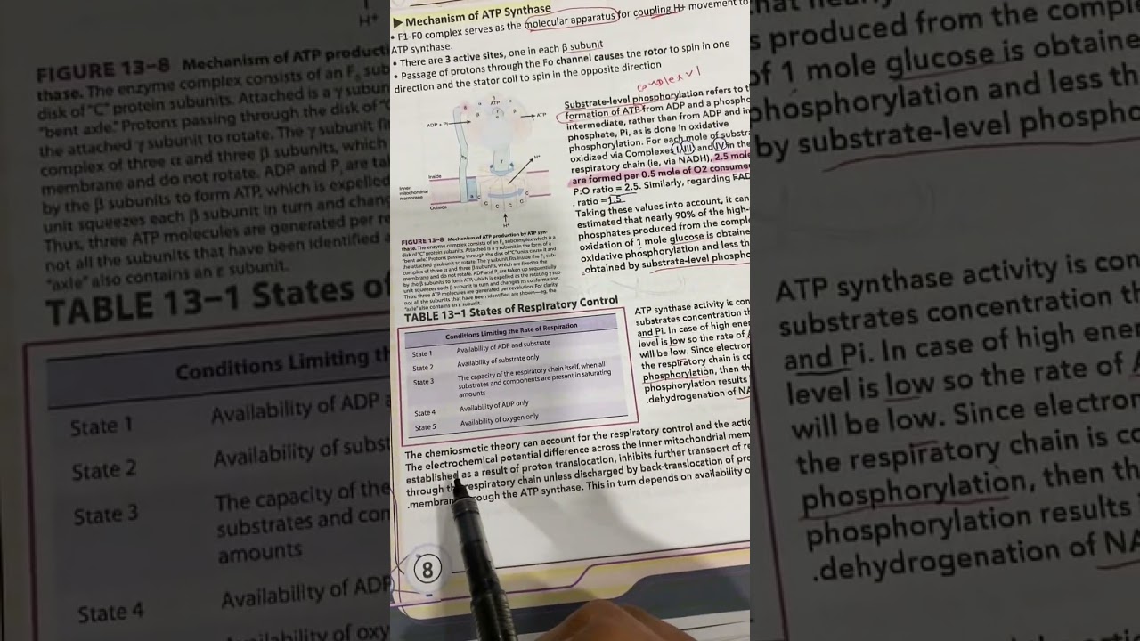 بايوكمستري بارت ٣