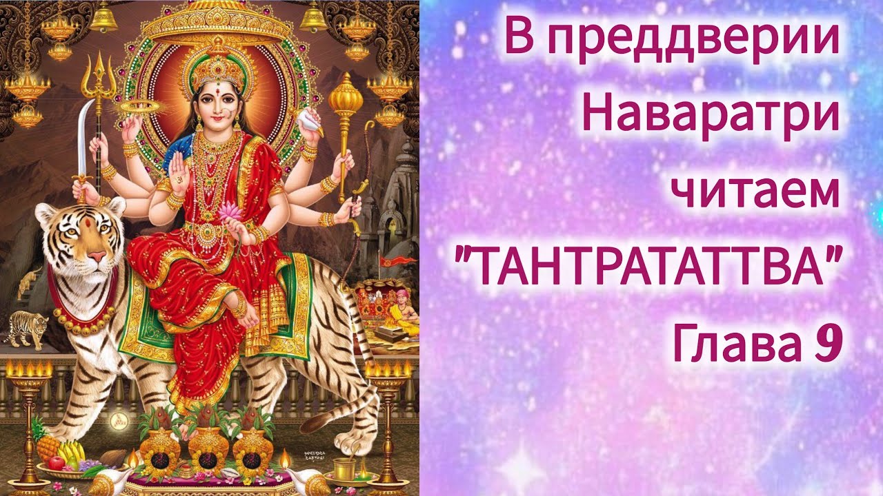 Натали Ананда | Философия жизни в прямом эфире!
