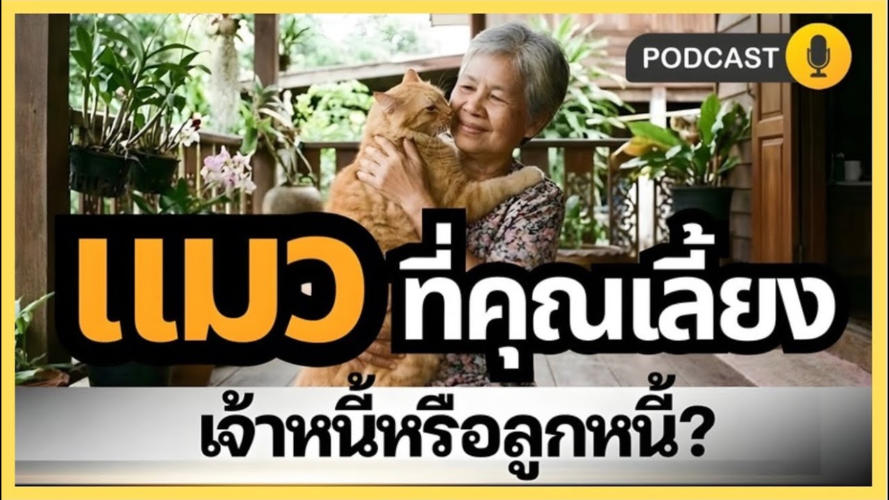 แมวที่คุณเลี้ยง | เจ้าหนี้หรือลูกหนี้
