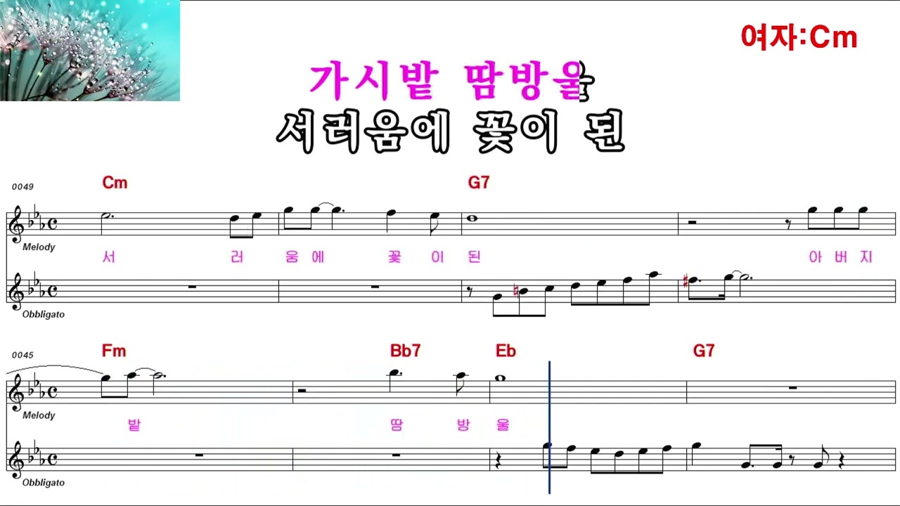 소금꽃 -진성(여자키 Cm)악보영상 반주동영상 (MR)