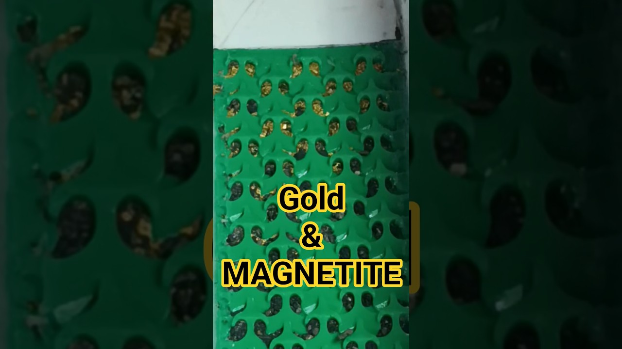 Gold Overload Sluicebox loss 