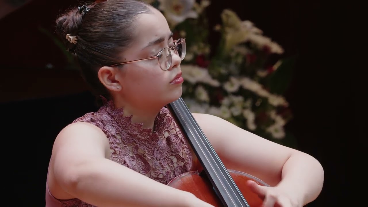 Paganini / Moses Variations / YIPO soloists / JMC