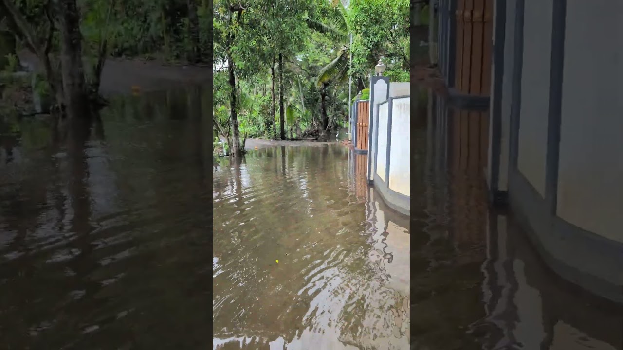 Kuttanad floods #shorts #flood