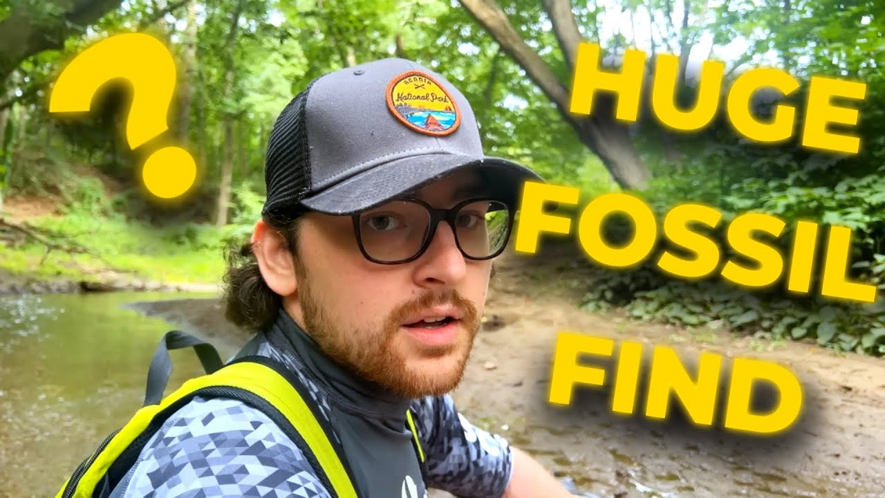 We Discovered Mosasaur, Shark Teeth, and Other Stunning Fossils In A New Jersey Creek!