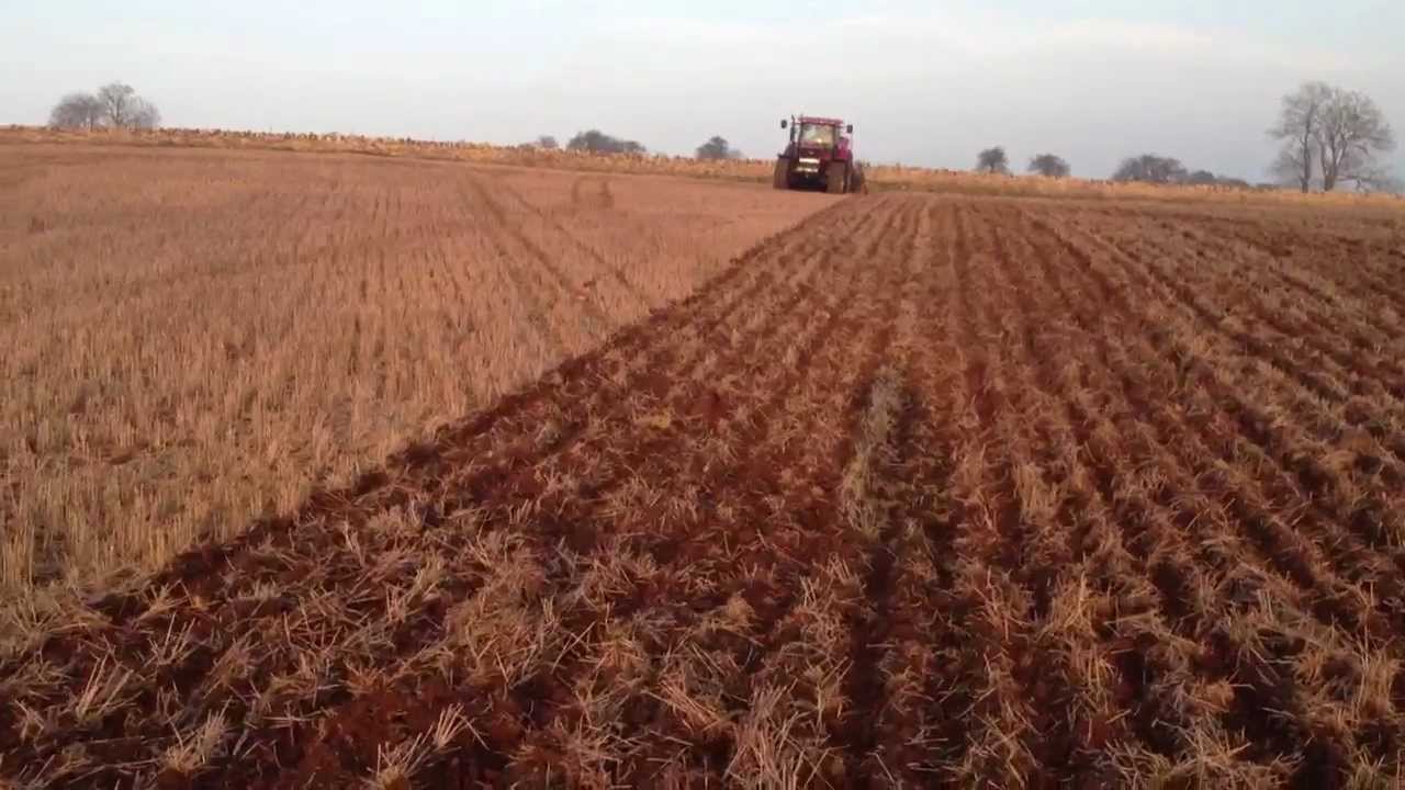 MZURI Drill Planting Spring Barley