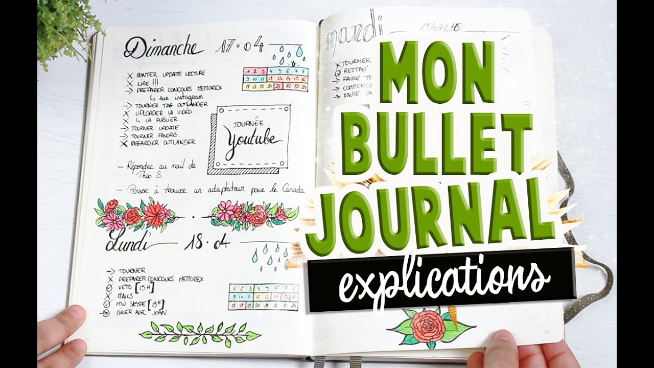 Mon bullet journal ! Flip through✒️📖