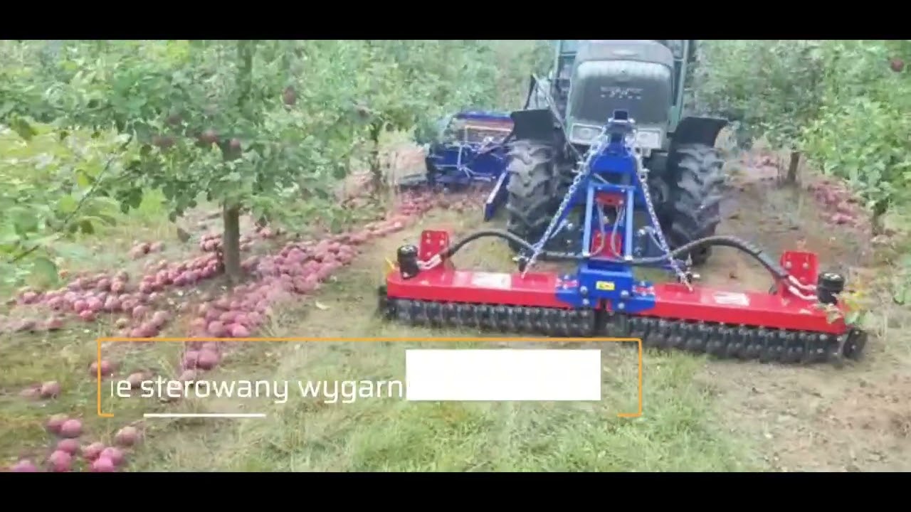 Kombajn do Jabłek / Spartan w Czersku / Dom-Wid /zbi&oacute;r Jabłek  u klienta /Apple / mechaniczny zbi&oacute;r/