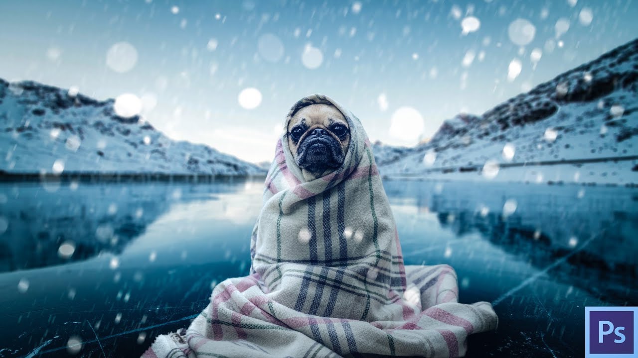 Comment faire un photomontage avec Photoshop