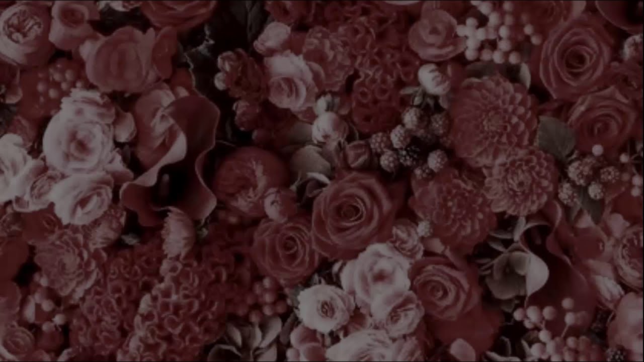 haywyre - never count on me (slow)